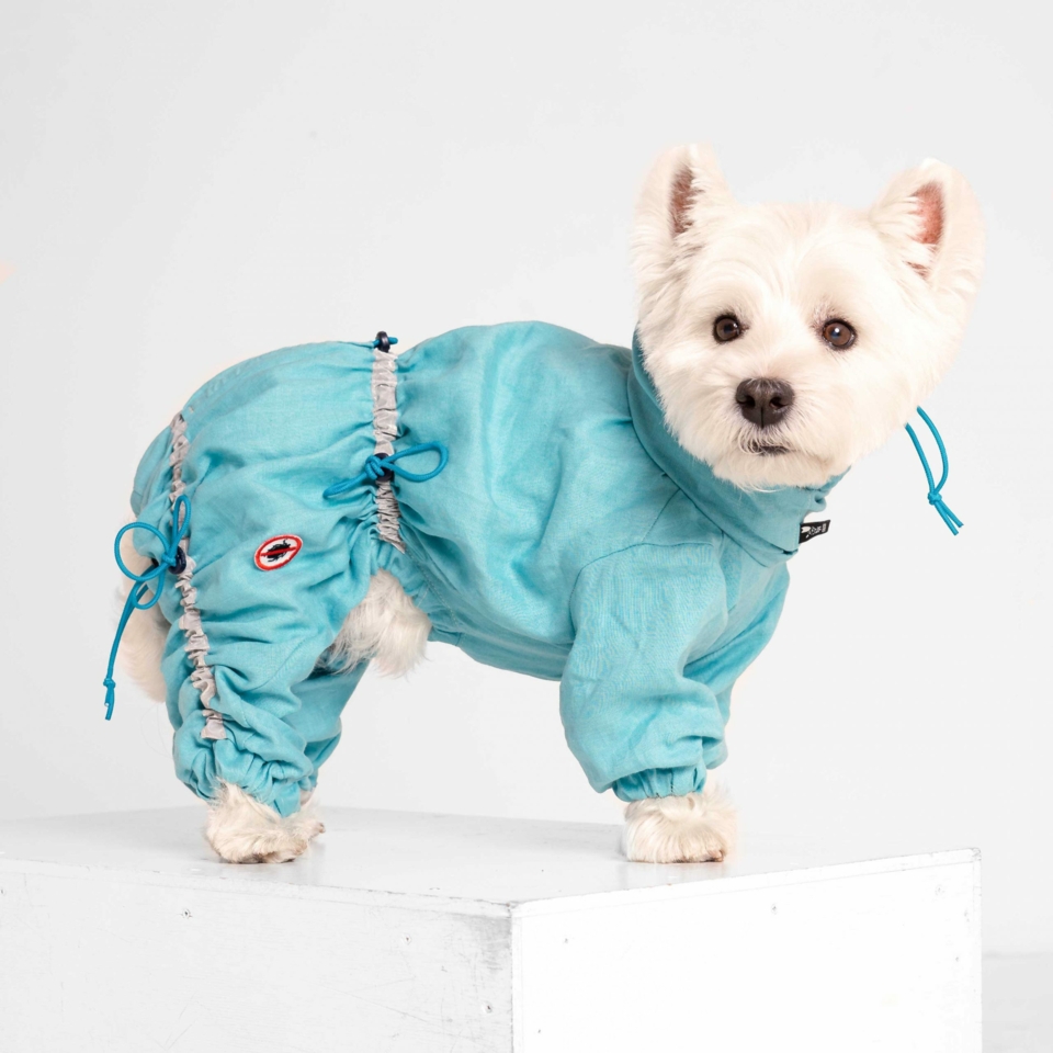 CiuCiu - innovative and protective dog clothes