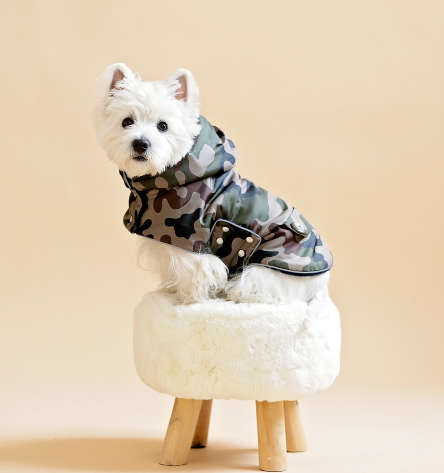 Camouflage Dog Coat with Hood "Ready H"