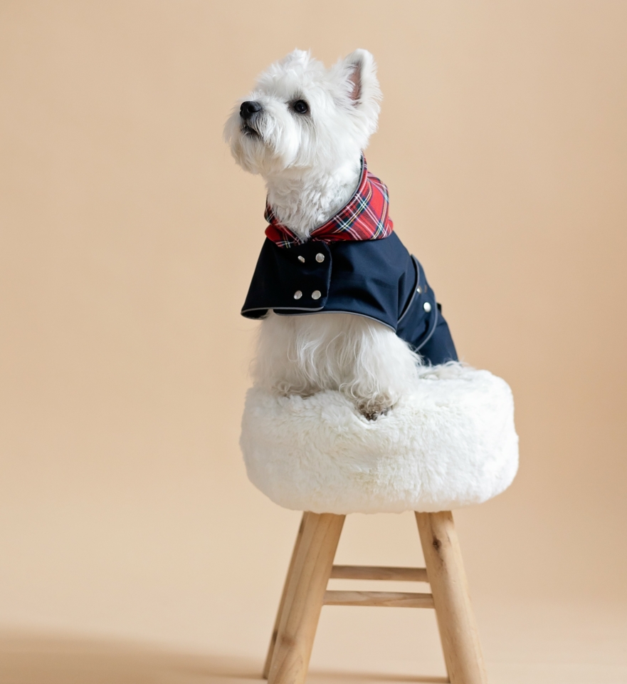 Dog Coat "MudArmor"