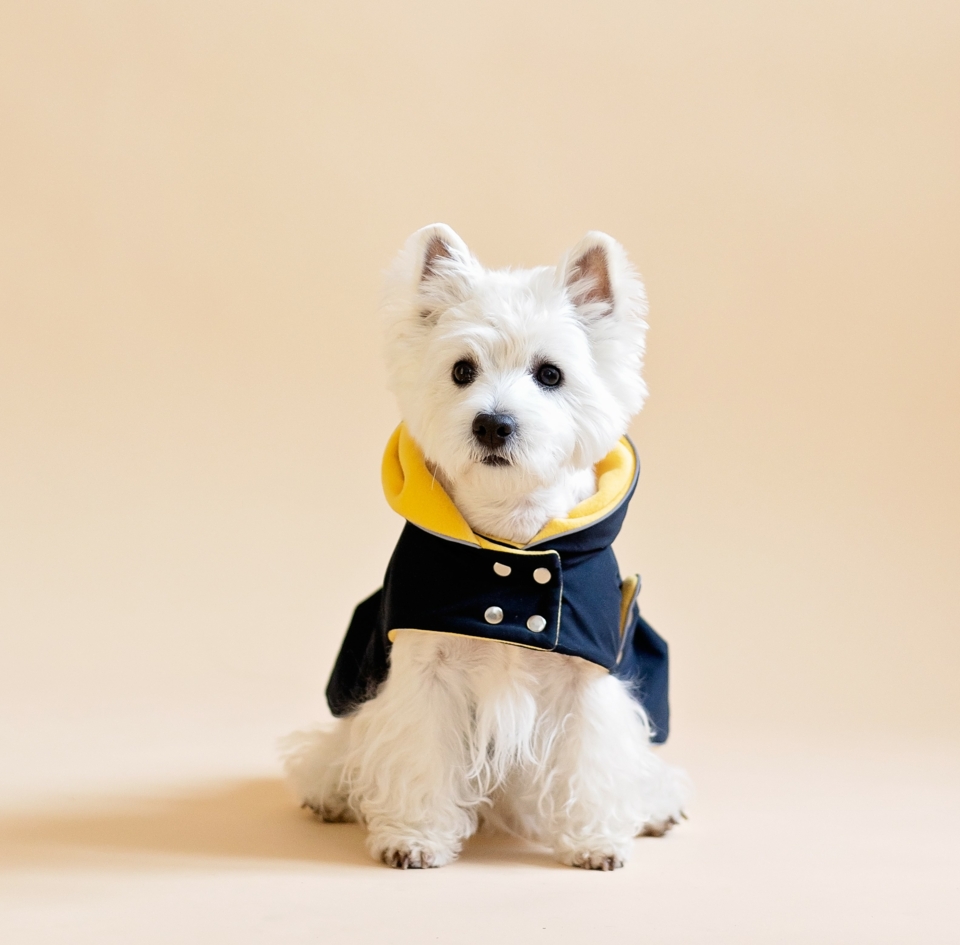 Dog Dress-Coat "MudArmor"