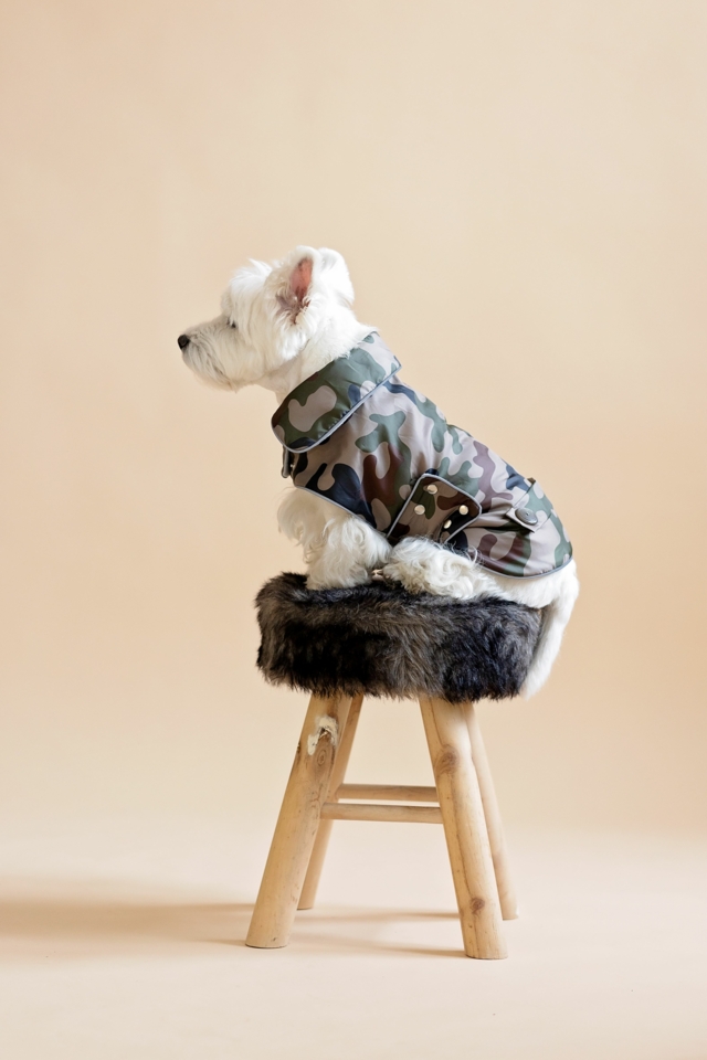 Camouflage Dog Coat "Ready C"