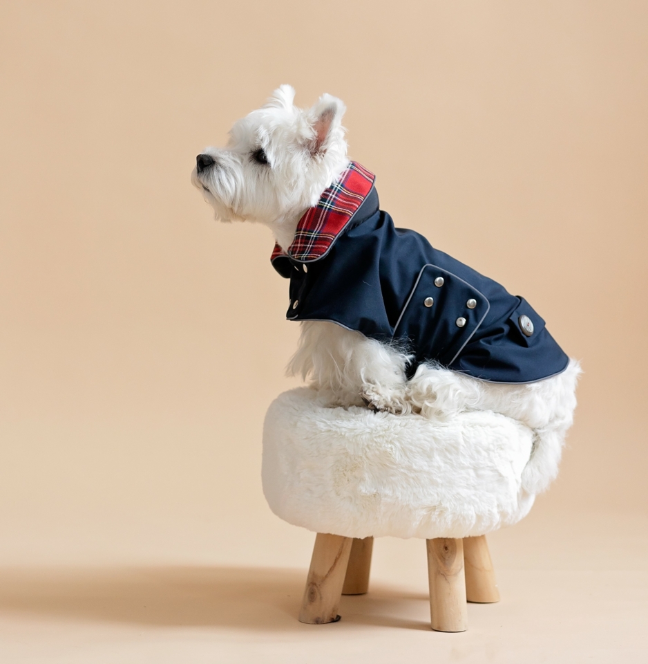 Measurements for Dog Clothes  CiuCiu - innovative and protective dog  clothes