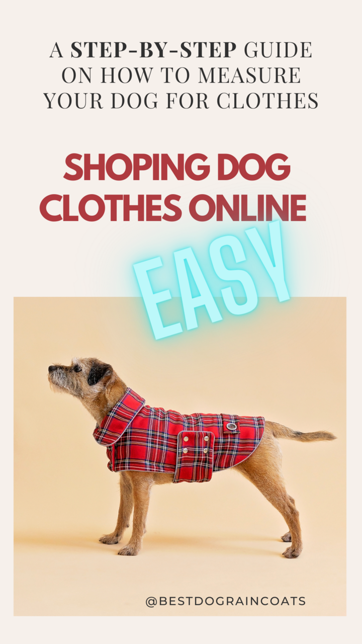 How to measure your dog for clothing