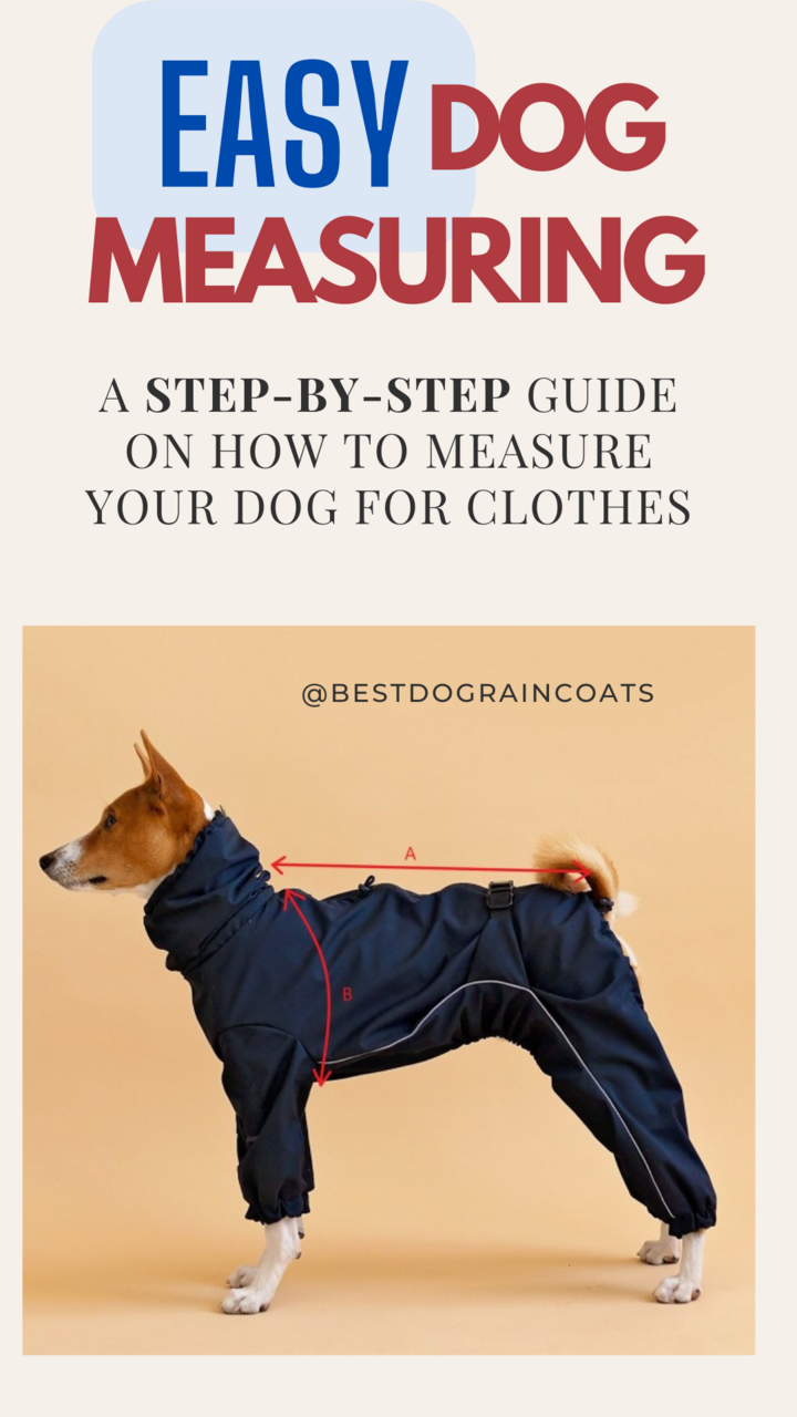 An Easy Step-by-Step Guide on How to Measure Your Dog
