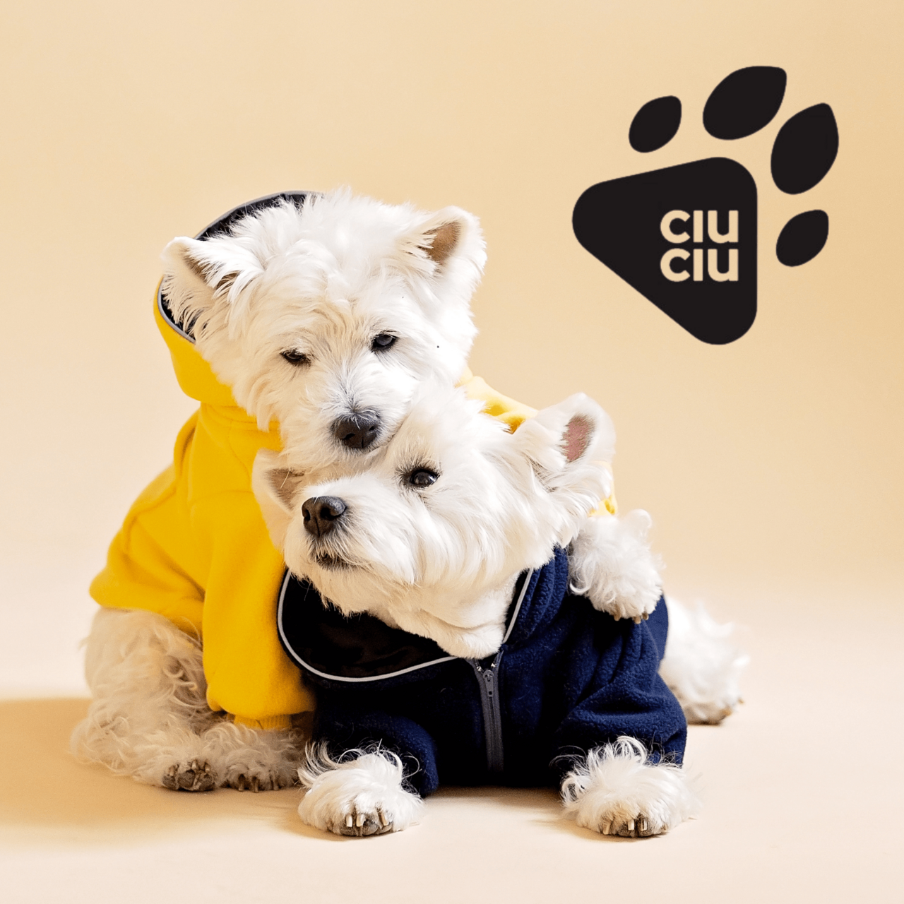 Measurements for Dog Clothes  CiuCiu - innovative and protective